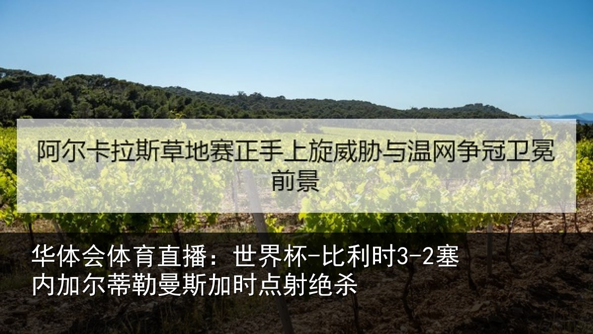 华体会体育直播:世界杯-比利时3-2塞内加尔相关情况绝杀
